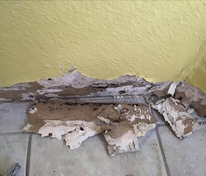 Discovery of Mold Throughout Wall
