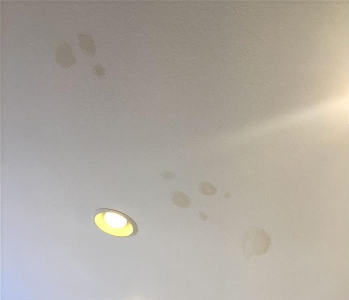 Water Damaged Ceiling 