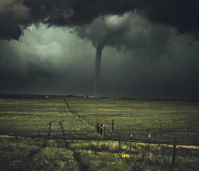 A tornado is just one of many kinds of storm damage. 